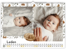 Fotokalendár exkluzív nástenný mesačný na šírku - Babies dream