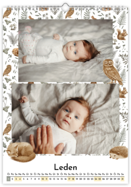 Fotokalendář exklusiv na výšku - Babies dream