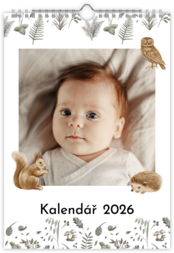 Fotokalendář nástěnný na výšku - Babies dream
