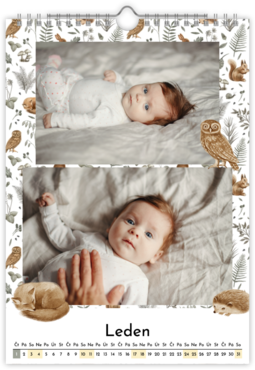 Fotokalendář nástěnný na výšku - Babies dream