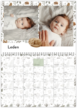 Nástenný plánovací fotokalendar - Babies dream