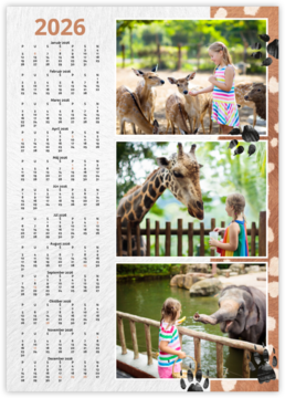 Roční fotokalendář jako plakát - Zoo 