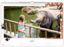 Fotokalendár exkluzív nástenný mesačný na šírku - Zoo