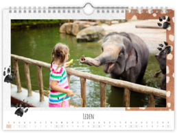 Fotokalendář nástěnný na šířku - Zoo