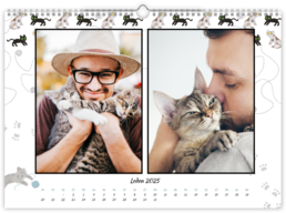 Fotokalendář exklusiv na šířku - Kočky